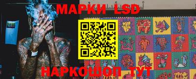 прущие грибы Будённовск