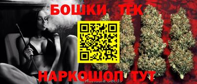 прущие грибы Будённовск