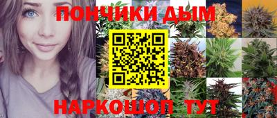 прущие грибы Будённовск