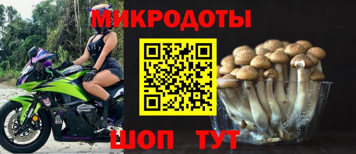 Псилоцибиновые грибы прущие грибы Петрозаводск